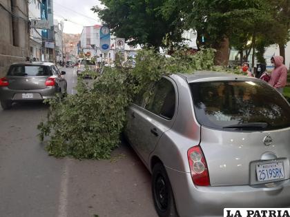 Lamentablemente el vehículo estaba estacionado en un lugar no permitido
