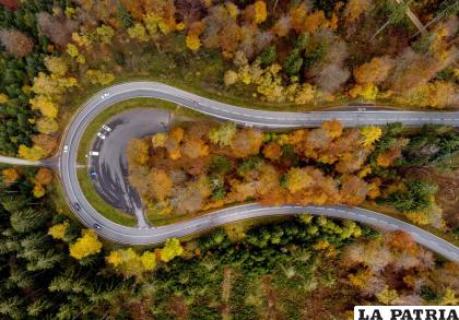 Árboles en tonos otoñales rodean una carretera en la región de Taunus, cerca de Fráncfort /AP Foto /Michael Probst