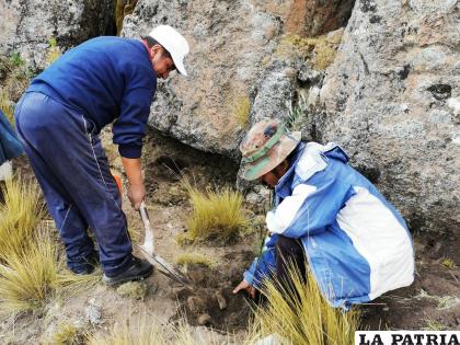 La unión hace la fuerza para combatir el cambio climático /WASI PACHA