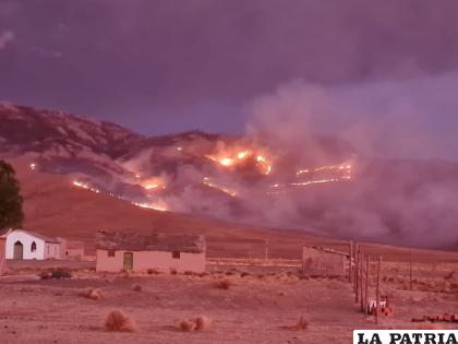 Se desconoce las causas del incendio /CORTESÍA