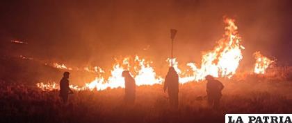 Varias dotaciones de Bomberos ayudaron a sofocar el fuego/POLICÍA
