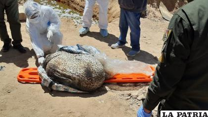 La mujer estaba envuelta en una bolsa y dejada en el canal del Tagarete /LA PATRIA