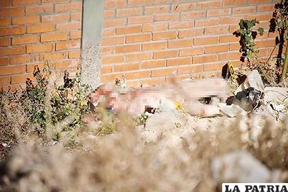 La mujer fue hallada desnuda en un lote baldío /Archivo LA PATRIA
