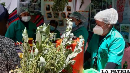 La medicina tradicional cobró mayor importancia en la pandemia /LA PATRIA