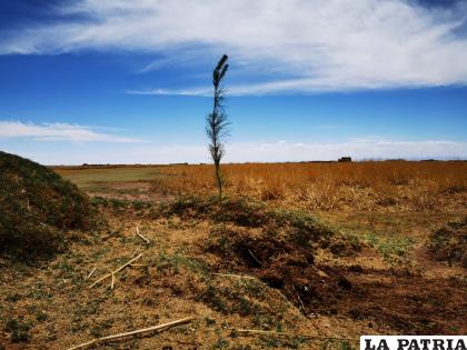 La esperanza está en todos revirtiendo los males climáticos /WASI PACHA