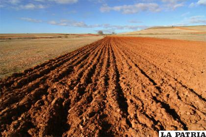 El INRA debe dar solución a este conflicto entre ambas poblaciones /torralbadecalatrava.es