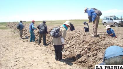 Chipaya no es ajeno a la sequía por la que atraviesa el departamento /es.wfp.org