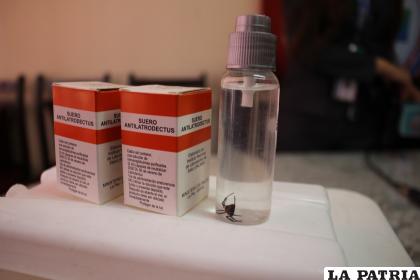Suero anti “Latrodectus” ante cualquier caso de picadura /LA PATRIA