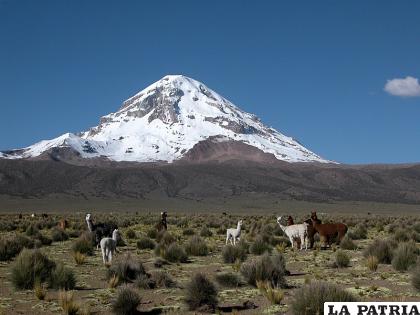 El “doctor Sajama” aguarda por los aventureros del ciclismo /LA PATRIA