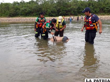 El cuerpo estaba flotando en el río Yapacaní /clave 300