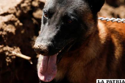 Este comportamiento es considerado desagradable /Reuters
