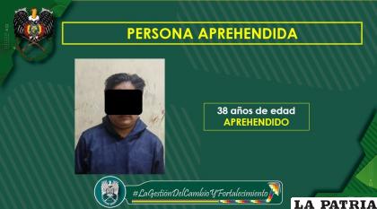 El padrastro terminó aprehendido por la Felcv / Policía
