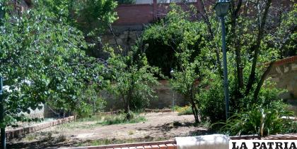 Existen muchos jardines en Oruro llenos de árboles y vegetación. / LA PATRIA