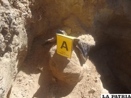 El cadáver estaba enterrado a dos metros de profundidad /Policía  