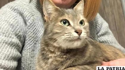 El gato identificado como Cocci estuvo alejado 13 meses de su familia /Facebook Laëtitia de Amicis

