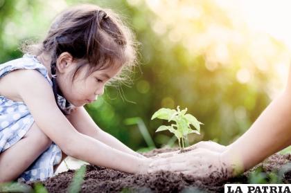 Proteger la flora y plantar árboles es importante para que los niños aprendan a cuidar el planeta /ISTOCK