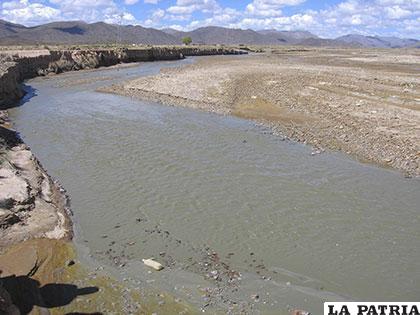 Buscan conocer los efectos de la contaminación en los organismos /LA PATRIA
