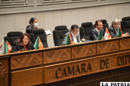 Se declaró cuarto intermedio a la octava sesión de Diputados /LA PATRIA