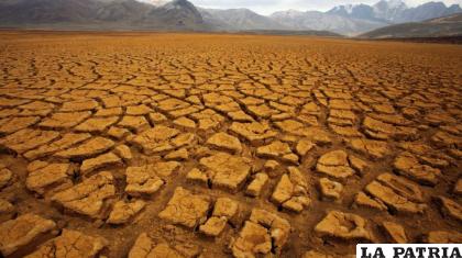 El fenómeno comenzó en mayo de este año /Imagen referencial / EFE