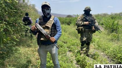 El narco es un problema que se instala en los debates políticos /Arte