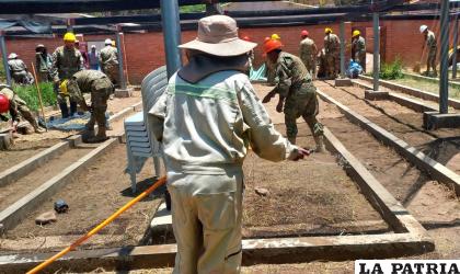 La idea es alcanzar a los 100 mil plantines /Gador