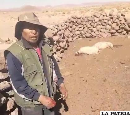 El presunto autor fue grabado vía celular por un niño /Captura de video