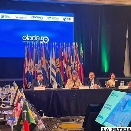 El ministro boliviano presente en la Olade /Ministerio de Hidrocarburos