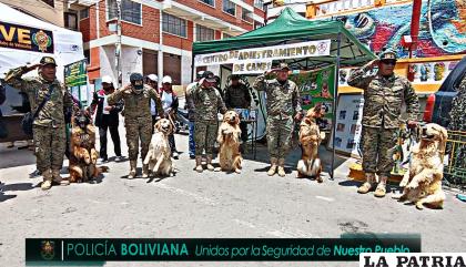 Efectivos policiales de Canes K9 junto con los caninos adiestrados /Comando 
