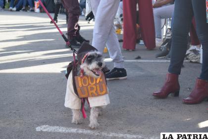 Un perrito 100% Uru /LA PATRIA