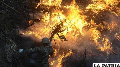 Bomberos combaten un incendio en el Parque Tunari del departamento de Cochabamba/José Rocha - Los Tiempos