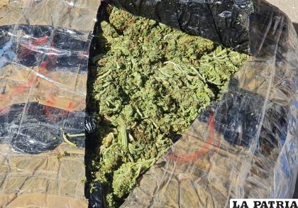 Marihuana fue hallada en un domicilio de la zona Sur de la ciudad /EMILIO CASTILLO LA PATRIA