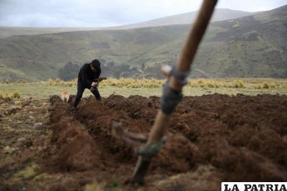 Campesinos realizan el volteo de la tierra de cultivo, en San José de Apata, provincia de Jauja (Perú) / EFE