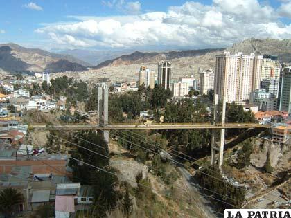 La Paz se llena de insectos que antes no se veían en esa región