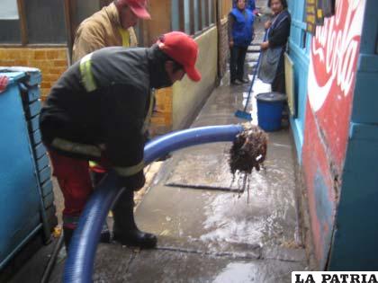 Falta de limpieza en el mercado Campero causó la inundación