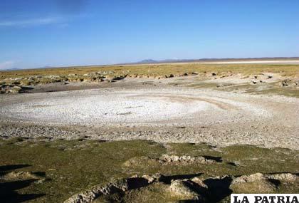 Un fenómeno extraño en el altiplano, registra aguda sequía en Santiago de Huari