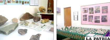 Inédita exposición de fósiles y meteoritos en el Centro Mariano