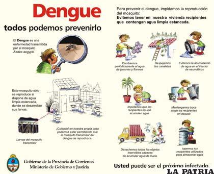 Buscan vacuna para el dengue