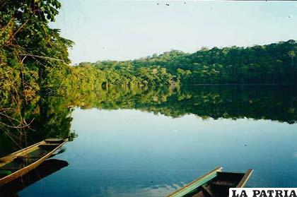 El parque nacional Madidi ha sido creado en el año 1995