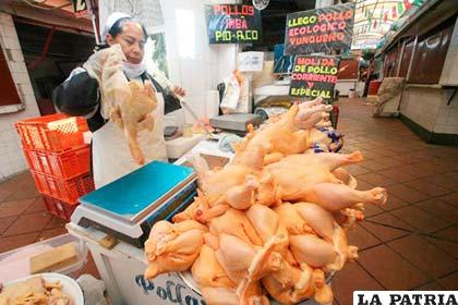 Avicultores aseguran que la carne de pollo debía costar 15 bolivianos el kilo