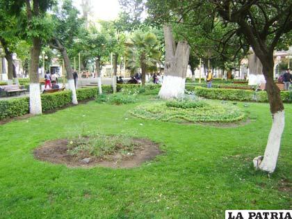 Jardines limpios gracias al trabajo de “Jóvenes por Oruro”