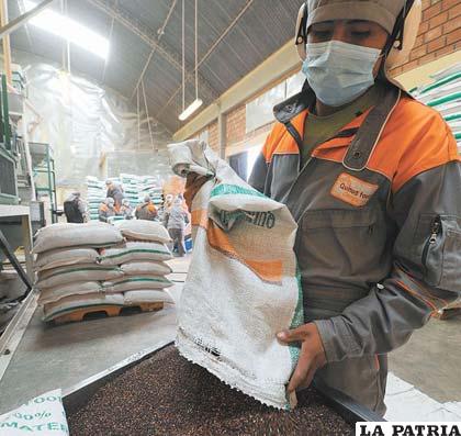Bolivia debe ser el primer productor y exportador de calidad a nivel mundial