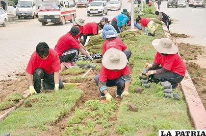 La mayor parte de estos jóvenes ecologistas no tienen más de 21 años
