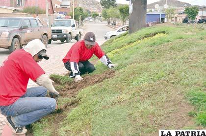 200 jóvenes decidieron dedicar su tiempo libre a ésta misión ambiental
