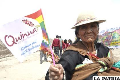 Productores de quinua real