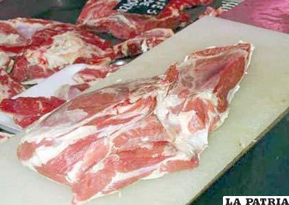 “La carne de llama es la mejor del mundo”, dijo el Presidente Morales