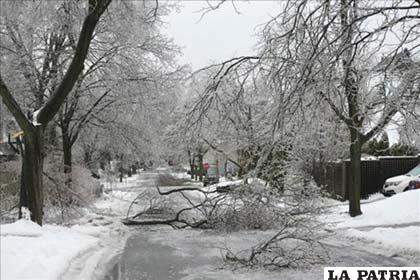 Ramas caídas por el peso del hielo obstaculizan el paso por una calle este domingo 22 de diciembre de 2013, en Toronto (Canadá)