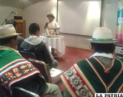 Viceministra de Autonomías Indígenas, Isabel Ortega, hablando sobre la importancia del autogobierno