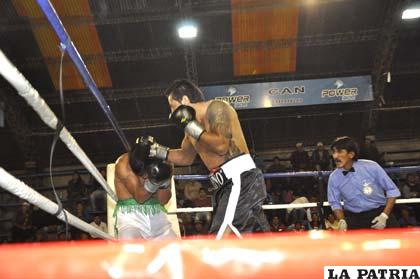 Volverá la emoción del boxeo profesional