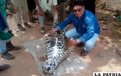 Humberto Masay sostiene las patas del jaguar asesinado