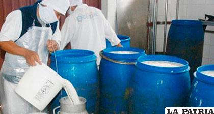 Producción de leche boliviana